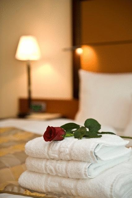 Aparthotel Premier Podgorica Pokoj fotografie